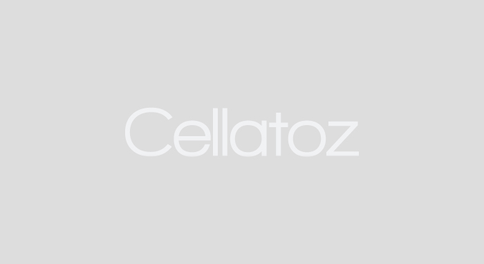 셀라토즈테라퓨틱스, CMT 치료제 유효성 평가 결과 발표